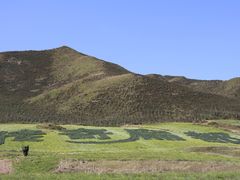 -扁都口生态休闲旅游区