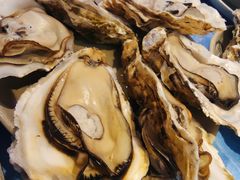 -千岛蚝高压锅生蚝·人参火锅(白云万达店)