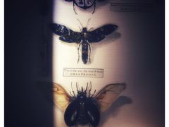 -北京三里屯CHAO酒店