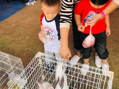 -季高兔窝窝亲子园(上海薰衣草公园店)