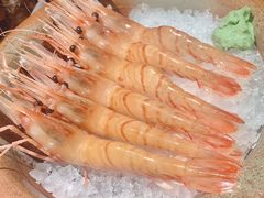 牡丹虾-蟹将军·松叶蟹和牛日料放题自助(K11店)