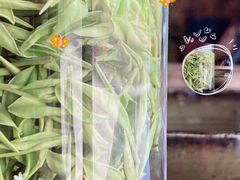 -正源安吉白茶特产享购商场(安吉店)