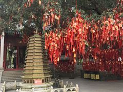 -国恩寺
