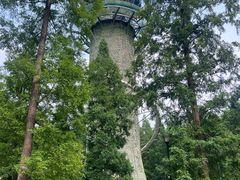 -黄海国家森林公园