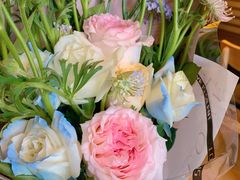 -大自然花鸟鱼虫市场