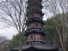 -上海佘山国家森林公园西佘山园