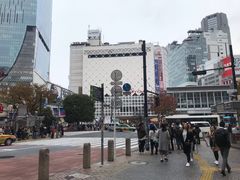 -涩谷全向十字路口