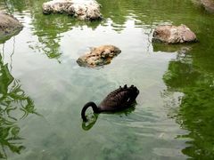 -昆明动物园