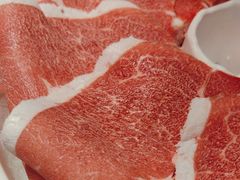 -蒙都43°9羊火锅·赤峰美食(宁城店)