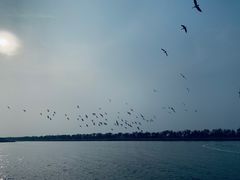 -南大港湿地风景区