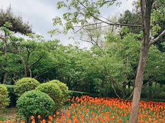 -迎泽公园