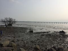 -宝安西湾红树林湿地公园