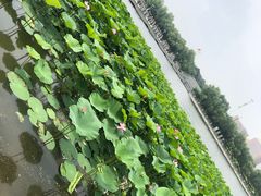 -长春世界雕塑园冰雪艺术天地