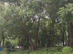 -北外滩滨江绿地