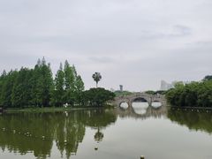 -江心屿景区