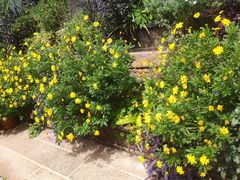 -浔岚云舍mist静谧观景美宿(丽江古城店)