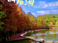 -广州市帽峰山景区