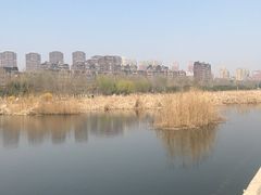 -前关湿地公园