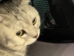-美联众合24小时·皮肤科·外科·全科诊疗中心(华苑分院)