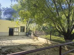 -青藏高原野生动物园