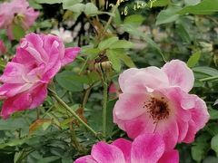 -人民公园(罗湖区)