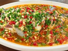 飞虹鱼-飞虹鱼馆(春华路店)