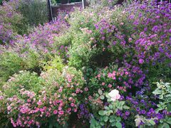 -北京宽沟会议中心