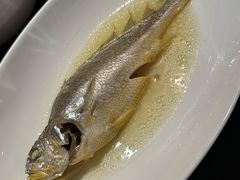 油盐水蒸中黄鱼-广舟(千禧店)