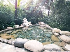 -天目湖涵田半山温泉