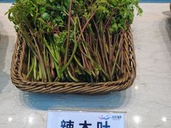 -欢乐海岸美食联盟