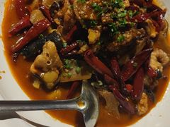 -印象鲵宴·张家界地标美食名片(溪布街店)