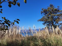 -西昌邛海湿地
