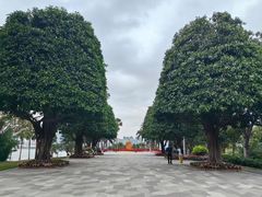 -深圳来福士广场