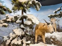 -陕西自然博物馆