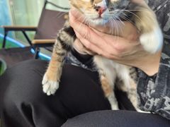 -CIAO·团建聚餐·生日派对轰趴馆(福田店)