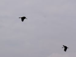 -F.N冻龄皮肤管理中心