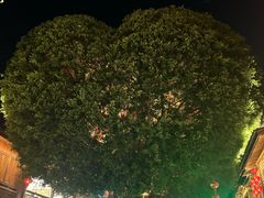 -海天盛宴海鲜自助(正大广场店)
