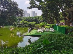 -广州长隆飞鸟乐园