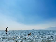 -滇池海埂公园