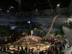 -自贡恐龙博物馆