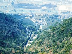 -杭州半山国家森林公园