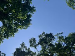 -尚贤河湿地