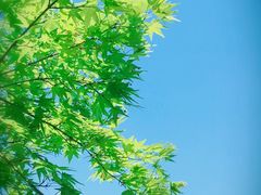 -花溪公园