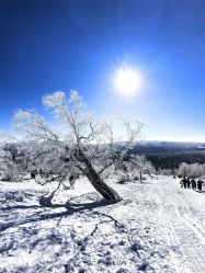-大秃顶子山