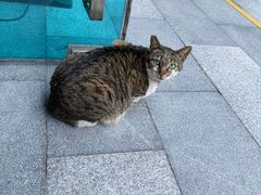 -ID.PHOTO照相馆(嘉里企业中心店)