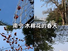 -南宁南湖公园