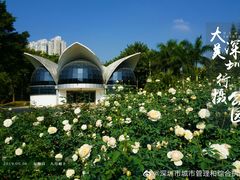 -人民公园(罗湖区)