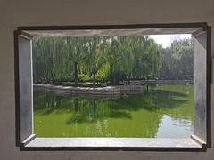 -团结湖公园