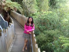 -怀托摩萤火虫洞