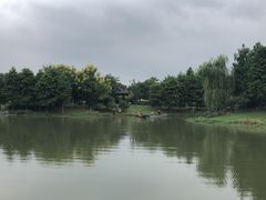 -尚贤河湿地
